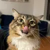 deweybeans - @deweywannarock - TikTok