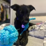 @dewey_bryant1 - Instagram