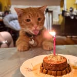 Dewey Beau Chan - @dewdewbeau - Instagram