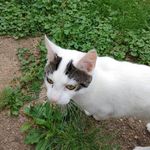 Dewey Clark - @kittyco1854 - Instagram