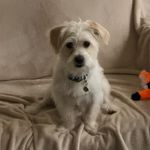 Dewey Finn Clark - @deweyfinnclark - Instagram