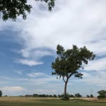 Dewey Cloudseed - @cloudseed_dewey - Instagram
