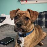 Dewey Cooper - @deweycooper - Instagram