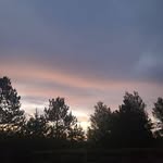 Dewey Cooper - @acoo_per2024 - Instagram