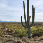 Dewey Cox - @dewey_cox_in_az - Instagram