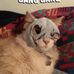 Dewey Cox - Facebook