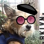 Dewey Cox - @therealdeweycox - Instagram