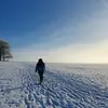 craddock - @craddock - TikTok