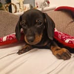 @dewey_days - Instagram