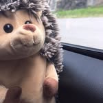 Dewey.Days.365 - @dewey.days.365 - Instagram