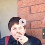 Dewey the cutty - @dewey_gardnergetnobred - Instagram