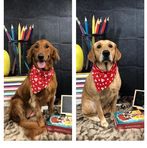 Dewey Hood - Facebook