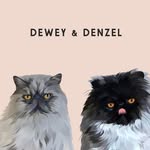 Dewey + Denzel - @kingdewey_thepersian - Instagram