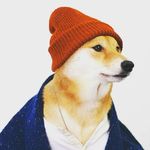 Dewey - @dewey__lee - Instagram