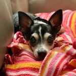 Dewey Lee - @its_me_dewey_lee - Instagram