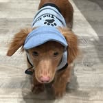 Dewey Harman - @dewey_longfellow_h - Instagram