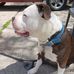 Dewey Perry - Facebook