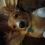 Dewey Richards - Facebook