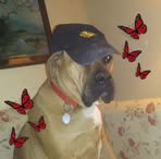 Dewey Whitney - Facebook