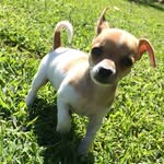Dewey Wright - @i_am_dewey - Instagram