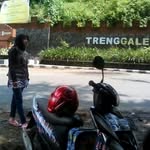 Dewi Januari - @dewi.januari - Instagram