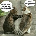 dasha_leona - @dewi_leona - Instagram