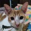 dewi_lestari - @dewilestari0288 - TikTok