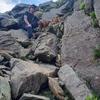 Dewi Roberts - @dewi.roberts8 - TikTok