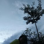 Dewi Sandra Sartika - @dewi_sandra_sartika - Instagram