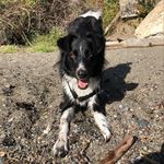@baker.dewitt - Instagram