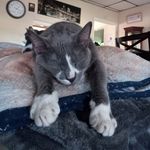 Bonnie DeWitt Johnson - @bonniegatorsmom5 - Instagram