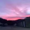evanleedewitt1 - @evan.lee.dewitt - TikTok