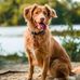 M DeWitt Patterson - Facebook