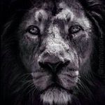 Trevor Dewitt Wallace - @brightfocus_inc - Instagram