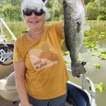 Nancy DeWitt Watkins - @nancydewittwatkins - Instagram