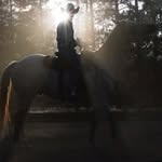 Levi Dewitt Williams - @levidewittwilliams - Instagram