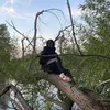 Dewone Kye - @dewonekye - TikTok