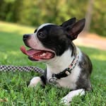 Dexter Archibald Griffith - @thedexternator - Instagram