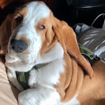 Duncan Dexter Archibald Pritchett - @tur_duncan - Instagram