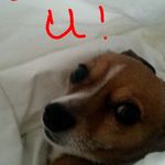 dexter barrett - @dexterbarrettsd - Instagram