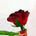 Austine Dexter - Facebook