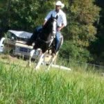 Dexter Bowman - @carolinacowboy824 - Instagram