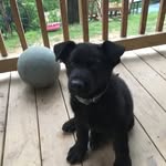 Dexter Duke Boyce - @dexter_duke_boyce - Instagram