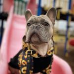 Dexter Bradley - @i_am_dexter_bradley - Instagram