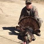 Dexter Browning - @browning.dexter - Instagram