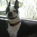 Dexter Browning - Facebook