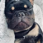 Dexter Hope - @dexterburger_2 - Instagram