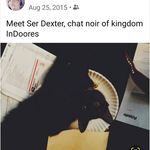 dexter bush cat noir - @dexter_bush_cat_noir - Instagram
