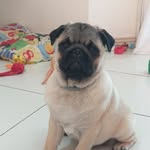 Dexter Cabral - @dextercabral - Instagram