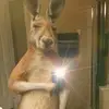 Dexter Cabrera - @dino28_507 - TikTok